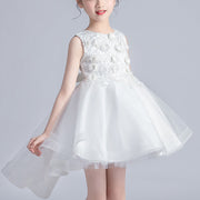 Long Back Floral Embroidered Tutu Dress