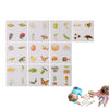 Rompecabezas de Ciclo de Vida 3D de Madera Montessori – Juguete Educativo Cognitivo para Niños | 2 Opciones de Set | Regalo de Aprendizaje de la Naturaleza