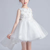 Long Back Floral Embroidered Tutu Dress