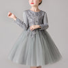 Floral Embroidered Top Long Sleeve Princess Dress