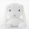 Squishy Rabbit
